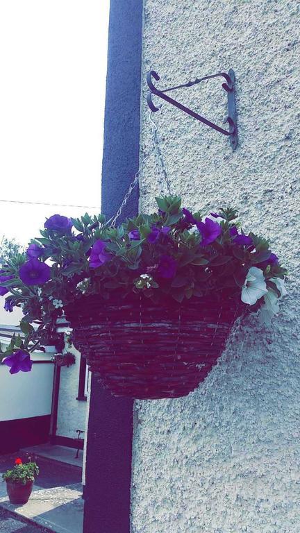 Castle Lodge B&B Kilkenny Kilkenny